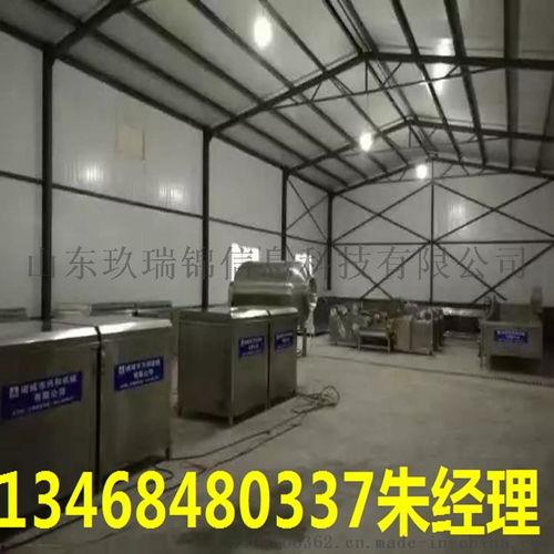 国产榨菜流水线视频,科技赋能下的绿色生产线揭秘