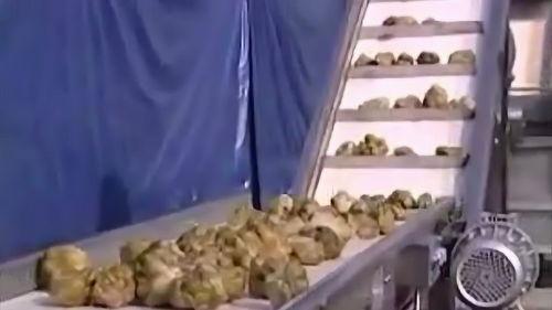 国产榨菜流水线视频,科技赋能下的绿色生产线揭秘