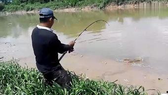 国产钓鱼艇下水视频大全,尽览我国船舶制造业风采