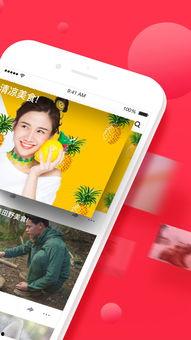 国产手机版西瓜视频,畅享短视频盛宴，解锁潮流生活新体验