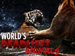 国产成高清视频4虎对白,揭秘权谋与情感交织的精彩对决