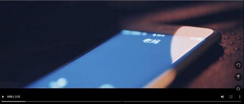 微国产在线视频,崛起的本土影视力量