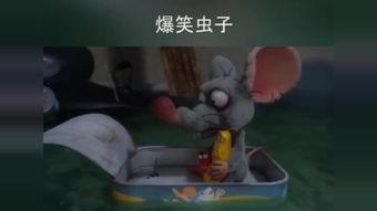 国产玻璃爆笑视频大全