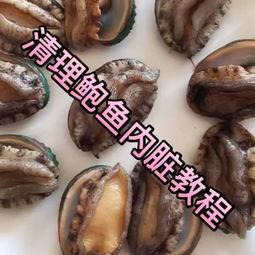 国产鲍鱼切片教程视频,国产鲍鱼切片教程视频精华解析