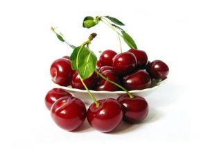 樱桃小视频国产区,青春活力，魅力无限