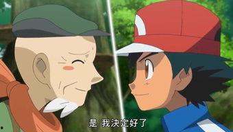 国产动漫视频大全儿童版,欢乐童年，动画相伴