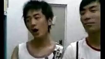 国产男同志视频免费视频,探索多元情感世界