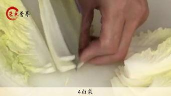 国产直肠检查视频,专业操作与常见问题解析