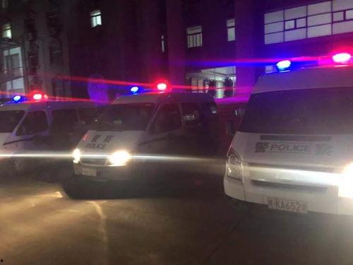 阜阳国产警车事件视频,揭秘警车质量问题引发的争议