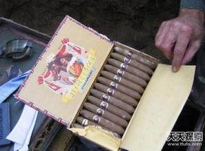 国产雪茄养护拆盒视频播放,揭秘雪茄养护之道