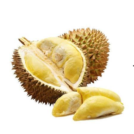 国产金枕榴莲开果视频,果实饱满诱人