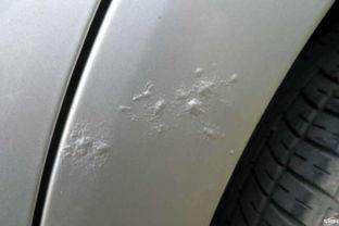 国产车生锈真实视频下载,真实视频曝光，锈蚀问题不容忽视