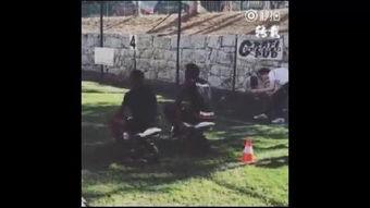 高清国产野外视频,揭秘自然生态的壮丽画卷