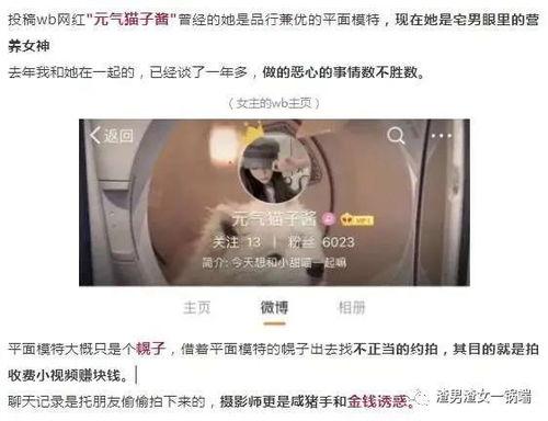 东京热视频国产在线观看,国产在线观看的激情之旅