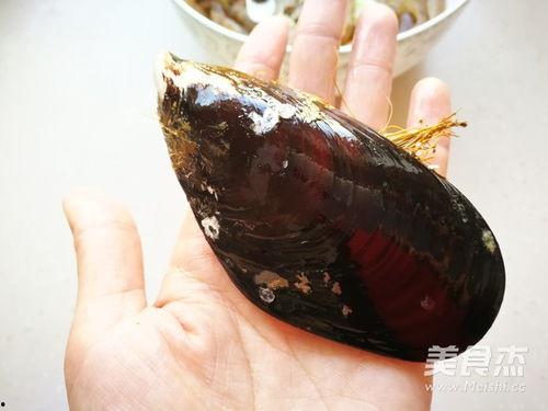 国产贻贝怎么开壳的视频,轻松解锁美味佳肴